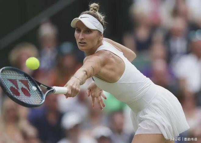 了真正能稳 了真正能稳