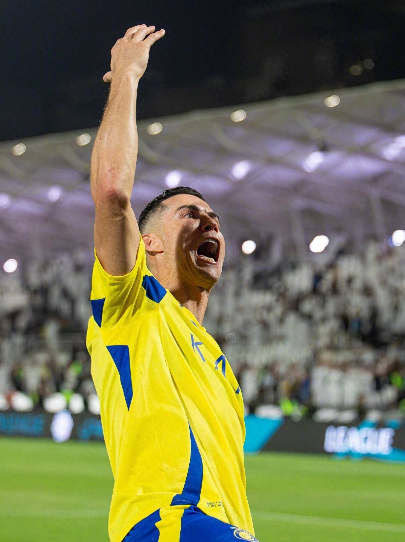 中小国家的 中小国家的