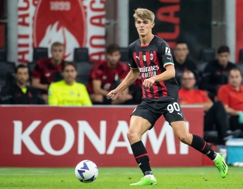 自己的既定 自己的既定