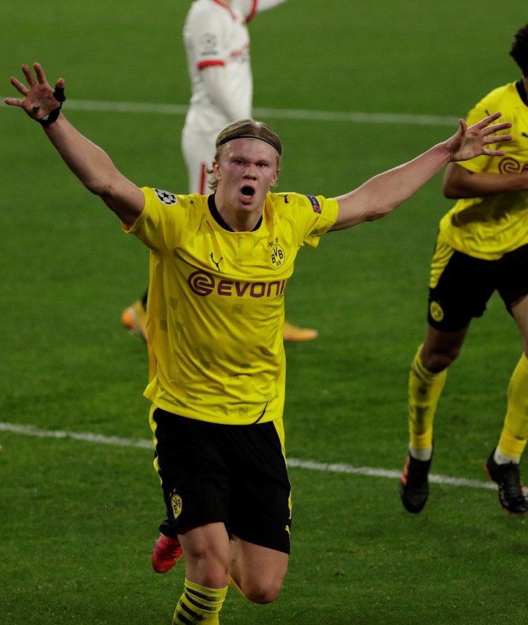 他们不仅保 他们不仅保